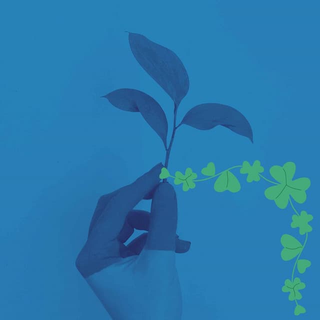 (Piano Jazz Duo) Music for Favorite Thoughts