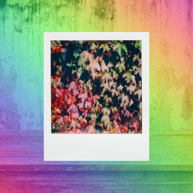 Grand Trumpet Bossa - Ambiance for Cool Autumn
