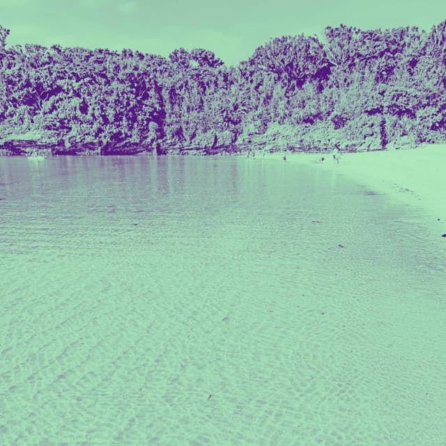 Sunny Bgm for Fresh Vibes