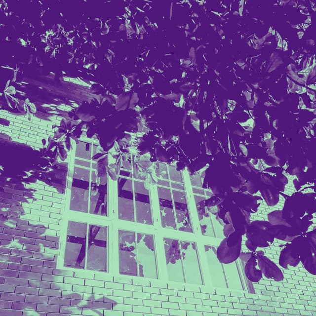 Lively Background for Fresh Vibes