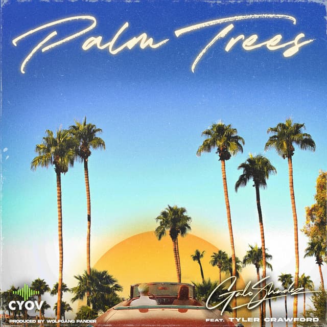 Palm Trees