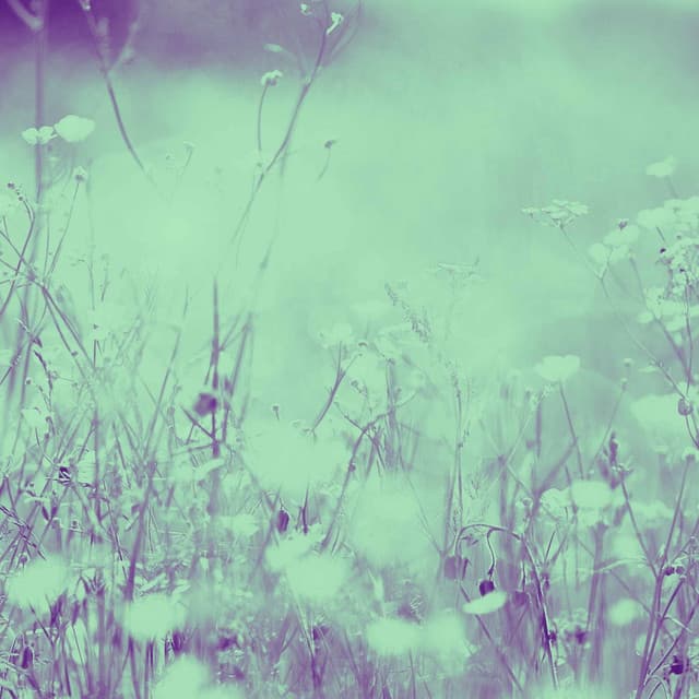 Jazz Piano Duo - Background for Comfortable Moments
