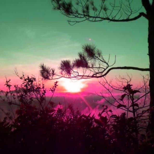 Background Music for New Moods