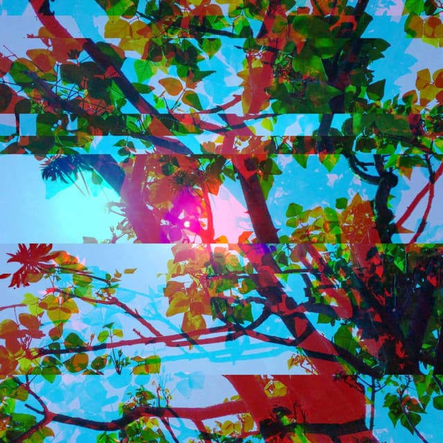 Swanky Bgm for New Moods