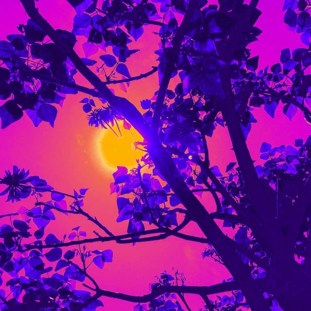 Feelings for Fresh Days